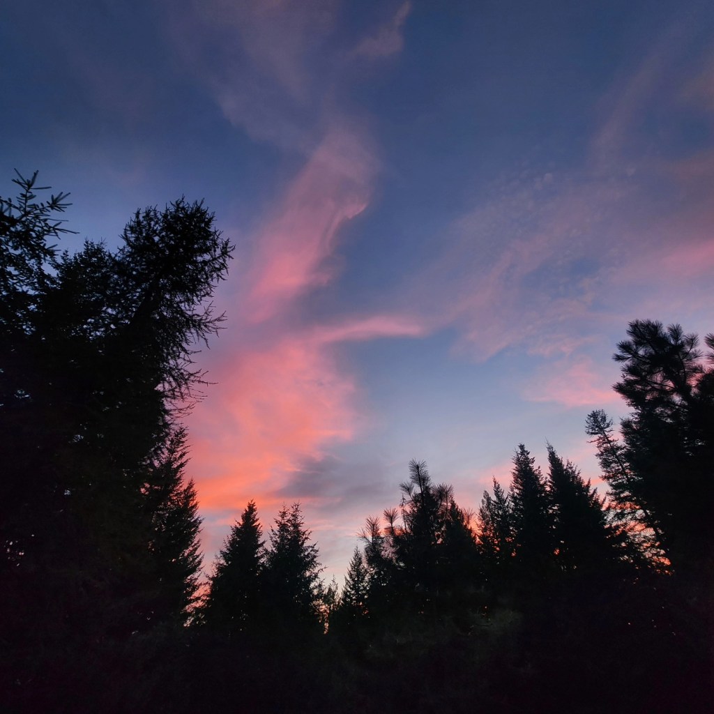 How do I Surrender my Drive Without Losing my Calling? A Letter from the Middle of Motherhood