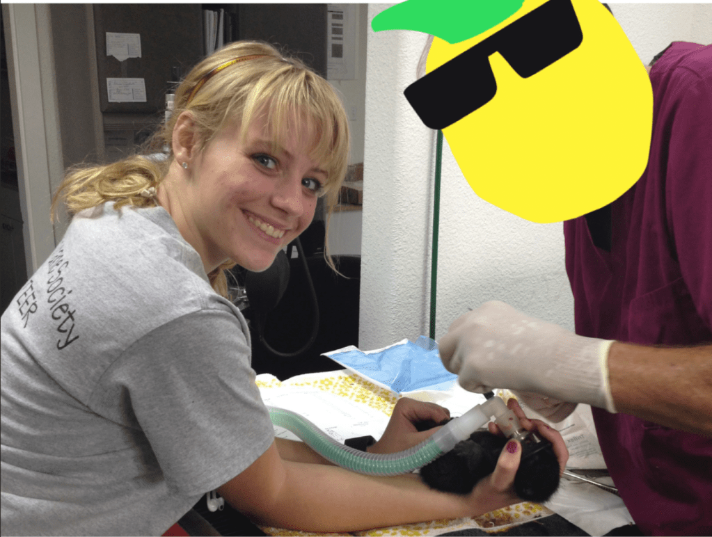 From Shelter Dogs to Stewardship: Becoming a Breeder Who Honors&nbsp;Scripture